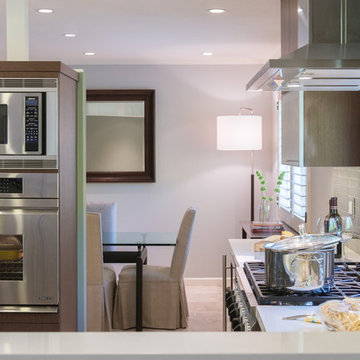 Contemporary Kitchen