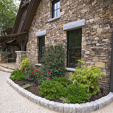 landscape plants
