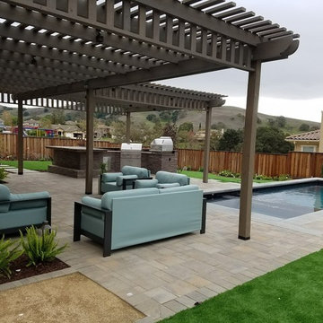 Brand New Landscape