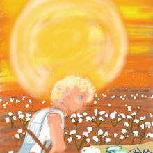 lilliblus cottonfield