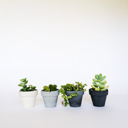 2" Classic Concrete Pots - Indoor Pots And Planters