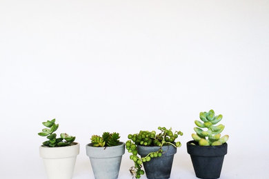 2" Classic Concrete Pots