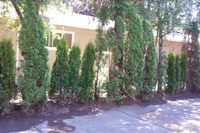 Exterior home photo in Portland