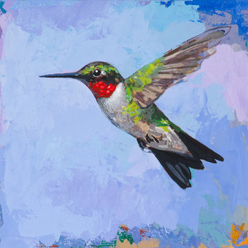 Hummingbird #3