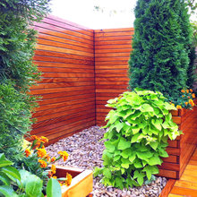 Terrazas / Roof Garden