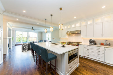 Kitchen - contemporary kitchen idea in Chicago