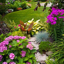 Wendy’s Garden