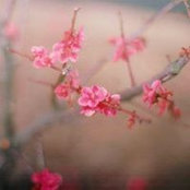 Foto di Atsuko Kimura