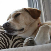 Susan McMackin's photo