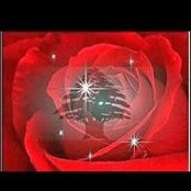 Foto von Ghada Ismail
