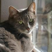 Michelle Dillon's photo