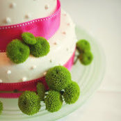Lynn Bao's photo