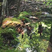 Dan Greyson's photo