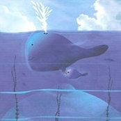Photo de Sofía Guerrero