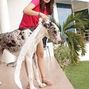 Sheena Lims foto