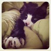 Terra Schneebeck's photo