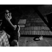Prijak Branimir's photo