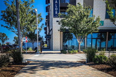 Patio - huge concrete paver patio idea in Dallas