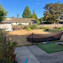 Current Backyard