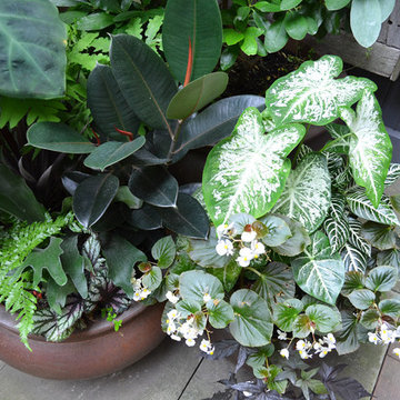 Greenwich Village Backyard