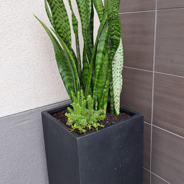 Starbucks Modern Planter Design