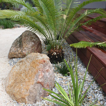 Coastal Garden - feature rocks and planting