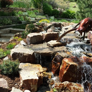 A Foxy Colorado Stream