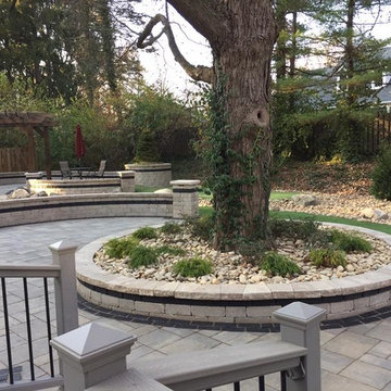 Outdoor Living Space & Tree House