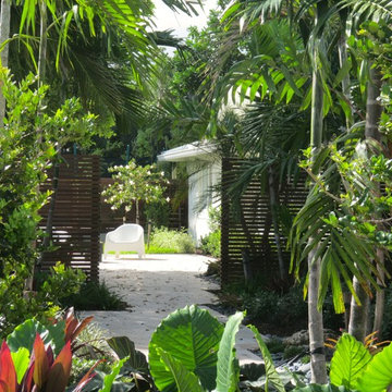 Front yard landscape South Florida
