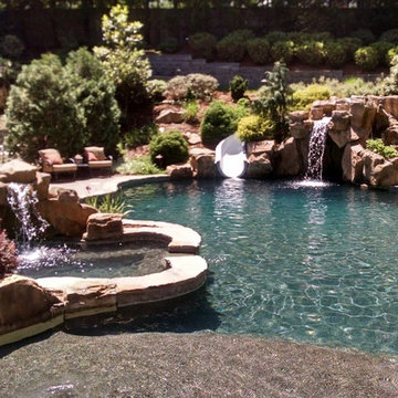 Backyard pool resort