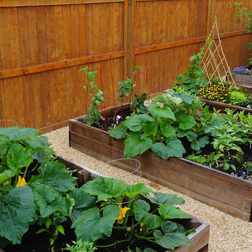 Urban Residential Garden