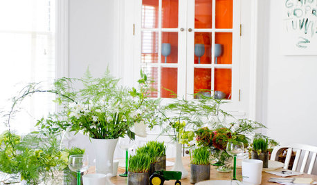 A Green-Thumb Guide to Growing Food Indoors