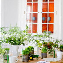 Kitchen Ideas