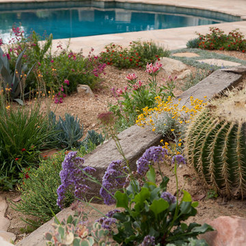 Arcadia Dry Garden