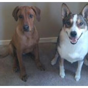 Beth Hasty's photo