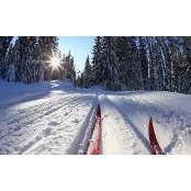 Gina Zanetti's photo