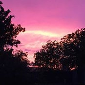 Tracy Salley's photo