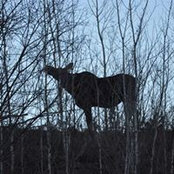 Paul Wasik's photo