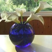 Lili Wendell's photo