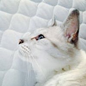 Foto de Wang Mia
