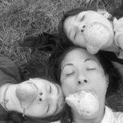Allison Camposさんの写真