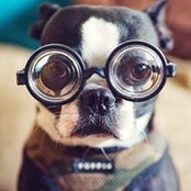 Silvana Wolkowicz's photo