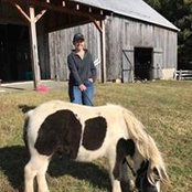 Diane Murphy's photo