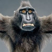 Jonathan Liffgens's photo