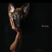 Foto von Murdock Lopez