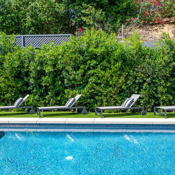Pool Area with Lounge Seating and Privacy Hedge