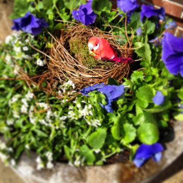 Cold Hardy Spring Containers
