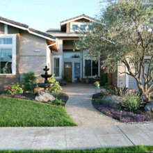frontyard