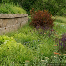 Planting Design