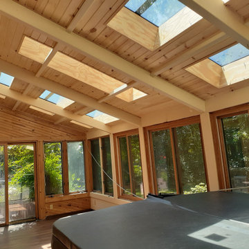 Clear Coat Beams